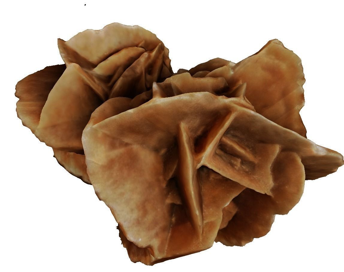 Desert stone rose  3D model_3