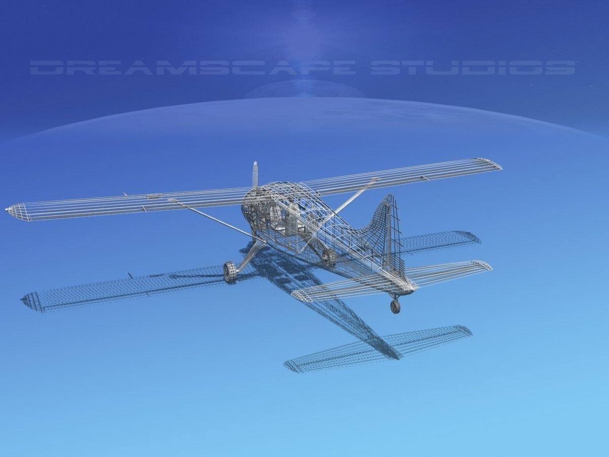 Dehaviland DH-2 Bare Metal 3D model_13