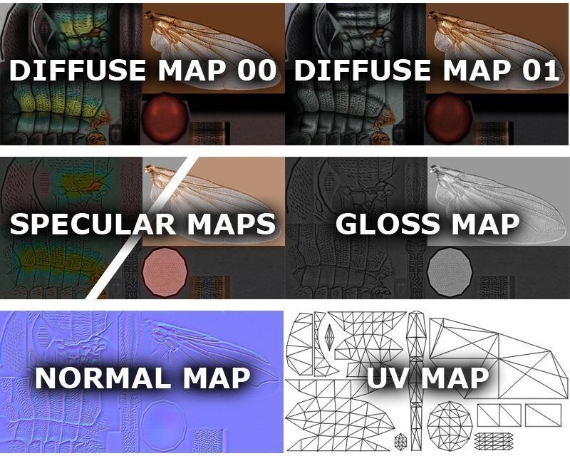 Animated Housefly Low-poly 3D model_4