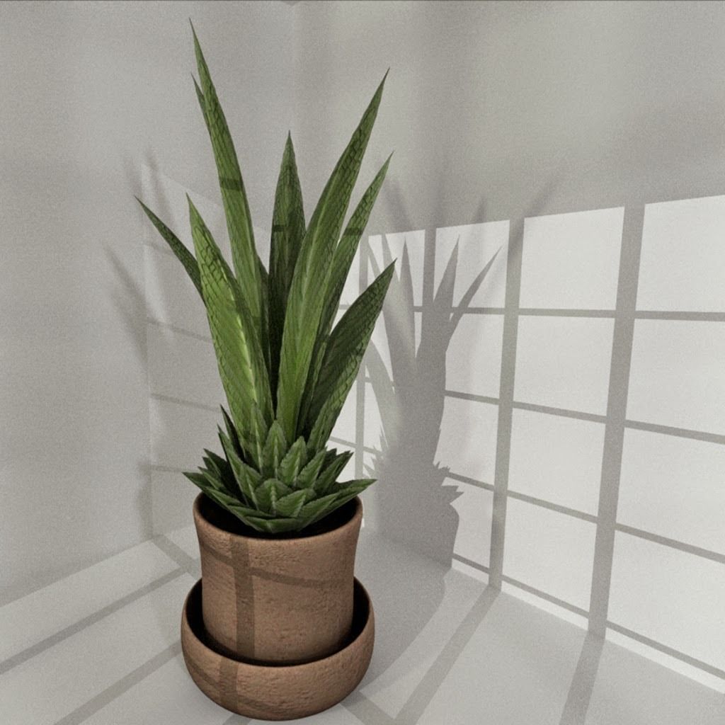 Indoor Pot Plant 3 Low-Poly Low-poly 3D model_3