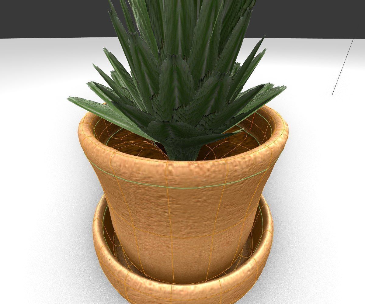 Indoor Pot Plant 3 Low-Poly Low-poly 3D model_18