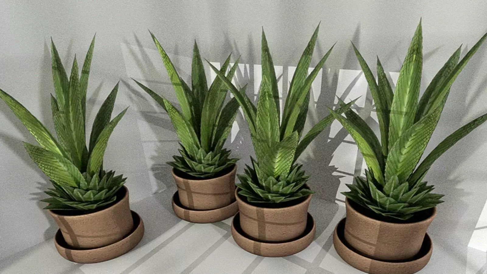 Indoor Pot Plant 3 Low-Poly Low-poly 3D model_0