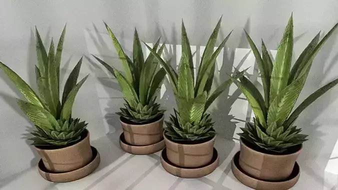 Indoor Pot Plant 3 Low-Poly Low-poly 3D model