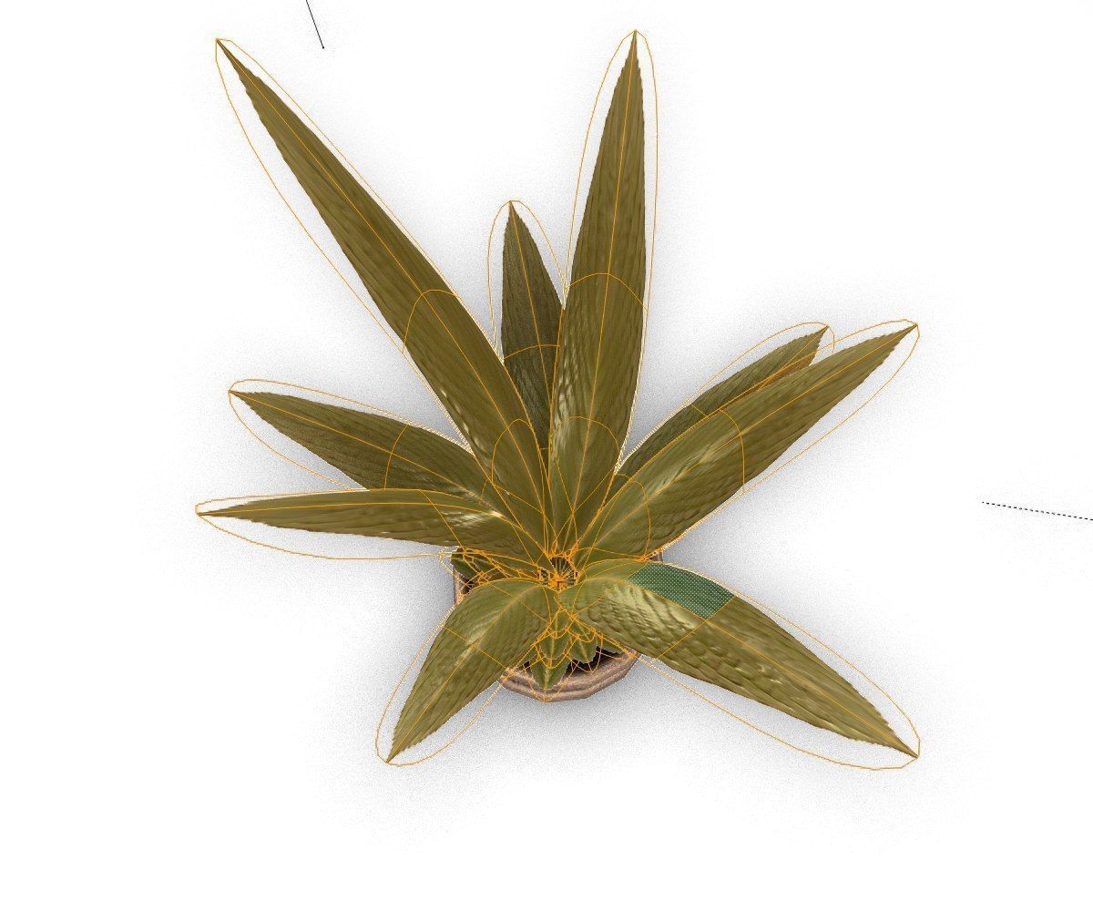 Indoor Pot Plant 3 Low-Poly Low-poly 3D model_16