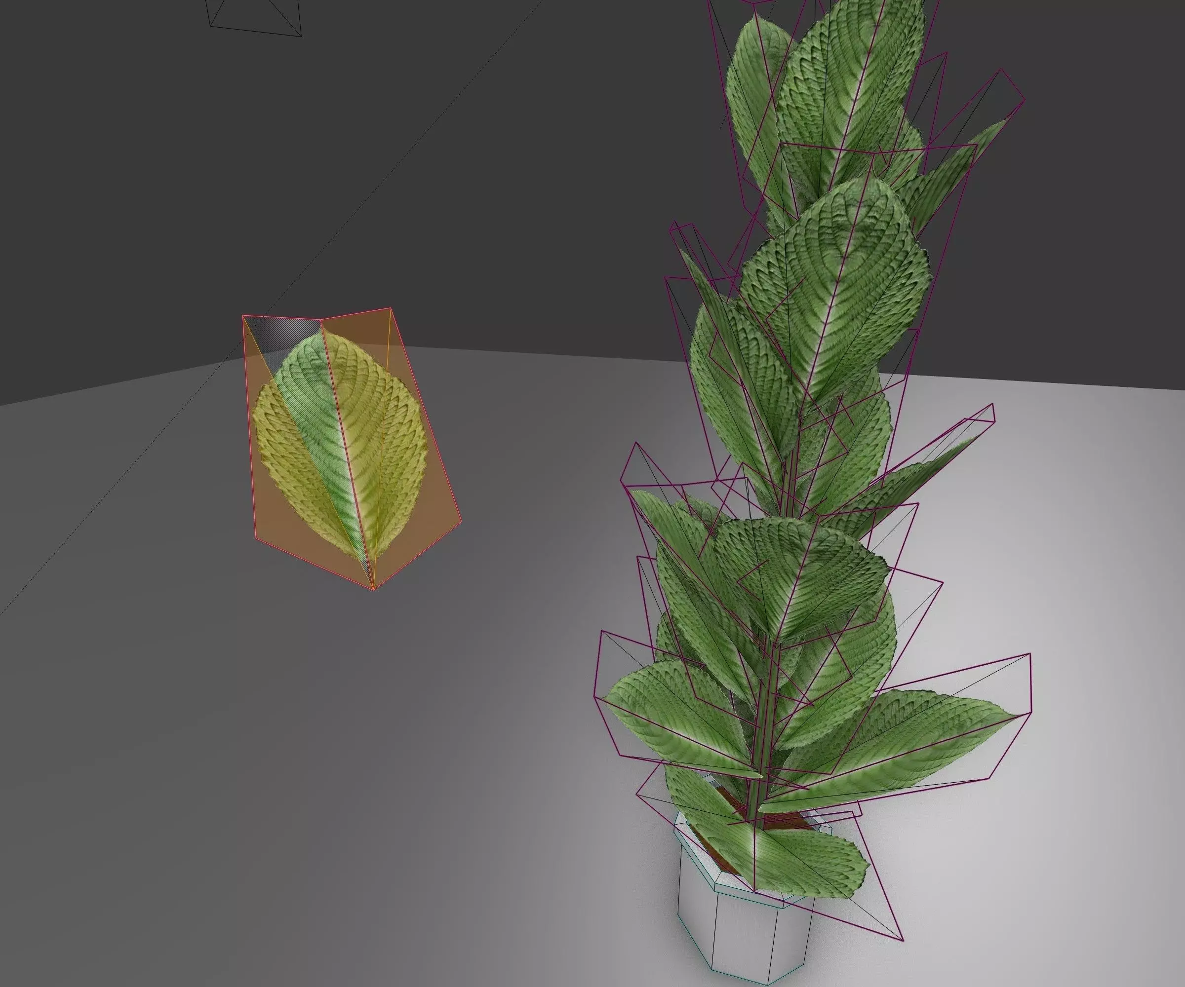 Indoor plant 2 Free low-poly 3D model_0