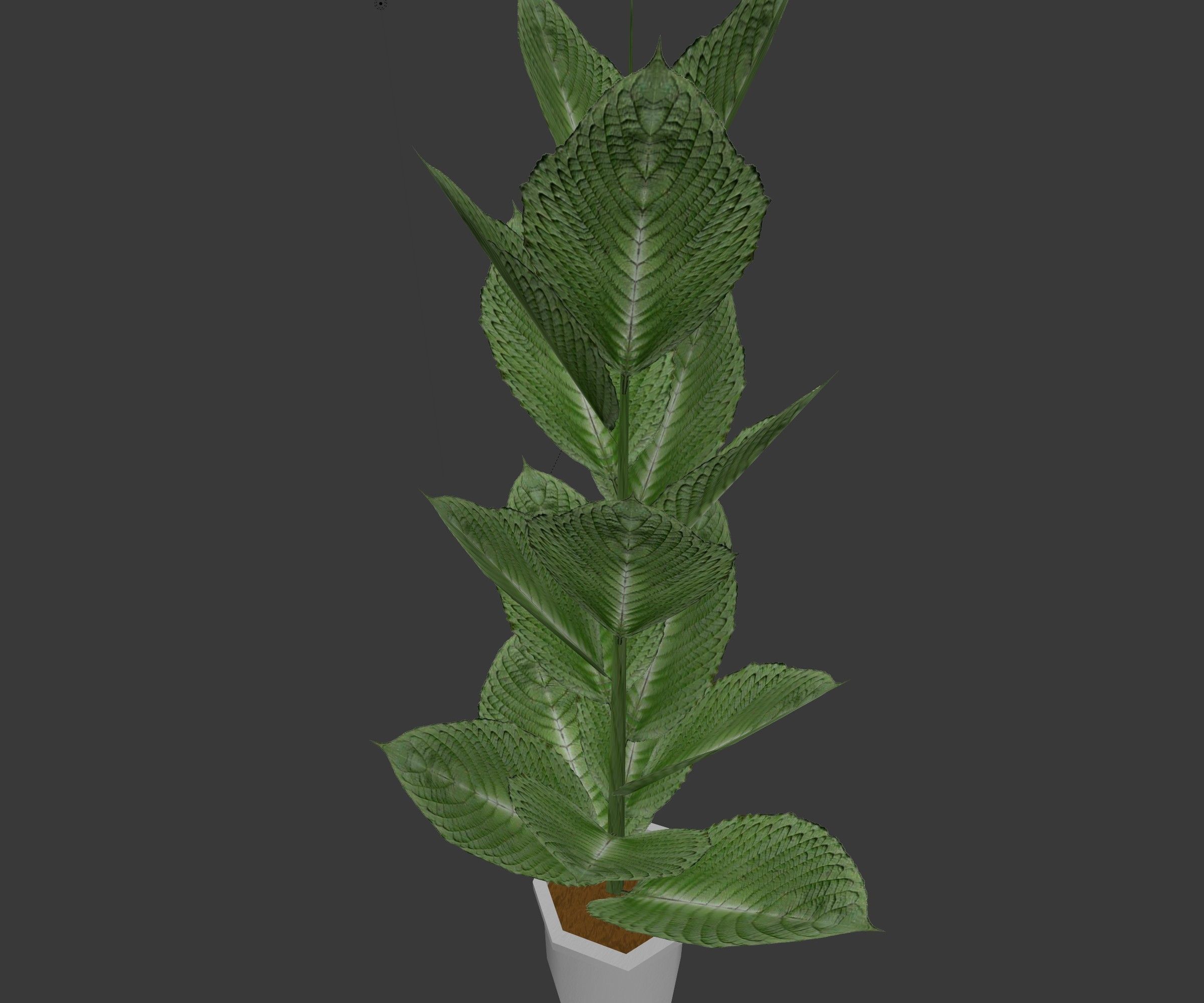 Indoor plant 2 Free low-poly 3D model_2