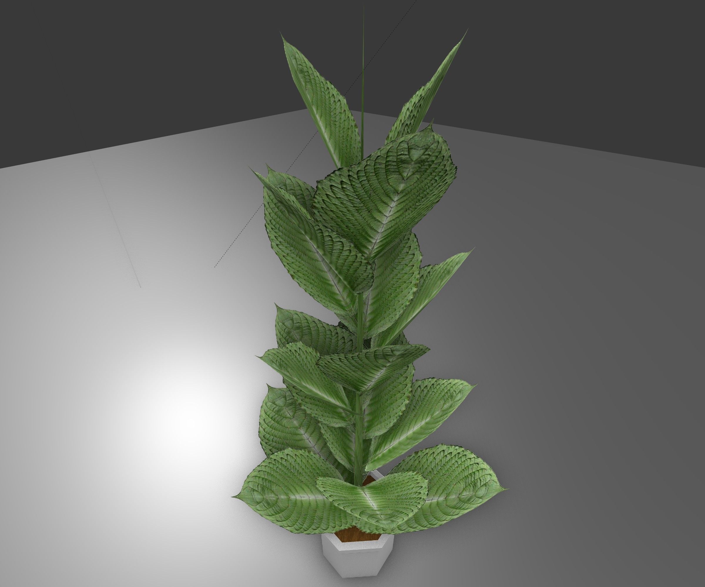 Indoor plant 2 Free low-poly 3D model_8