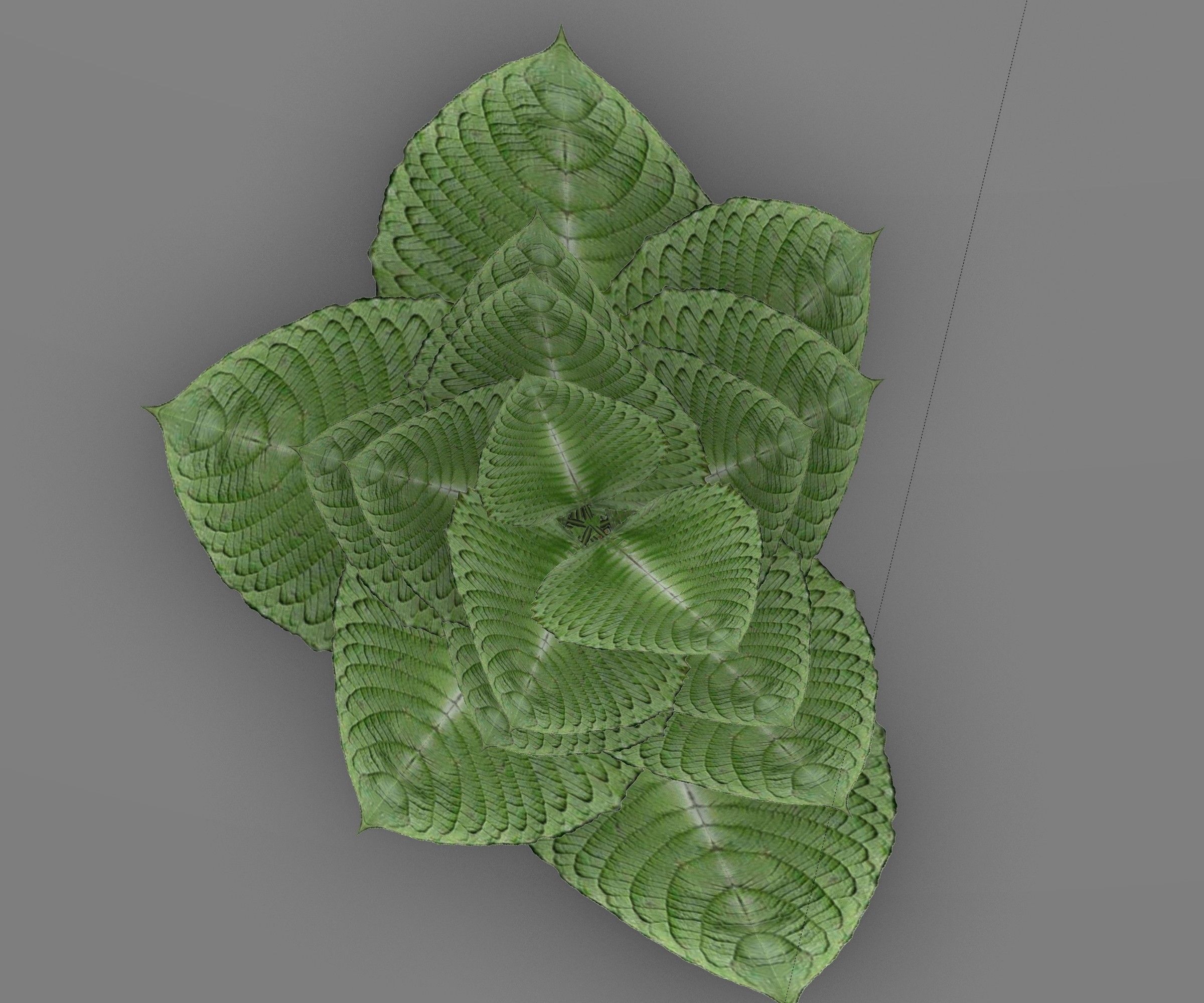 Indoor plant 2 Free low-poly 3D model_12