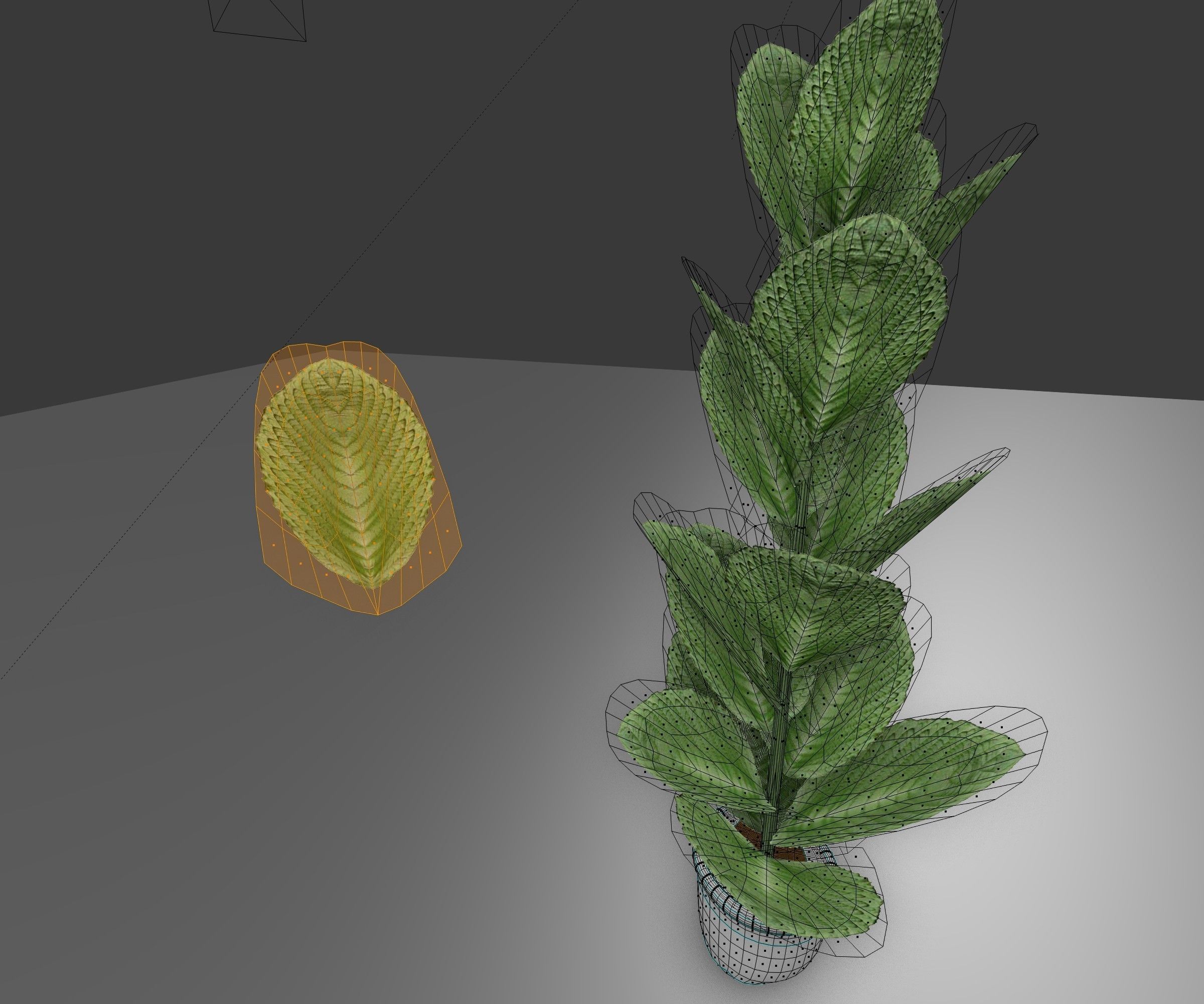 Indoor plant 2 Free low-poly 3D model_4