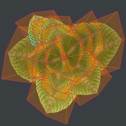 Indoor plant 2 Free low-poly 3D model_13