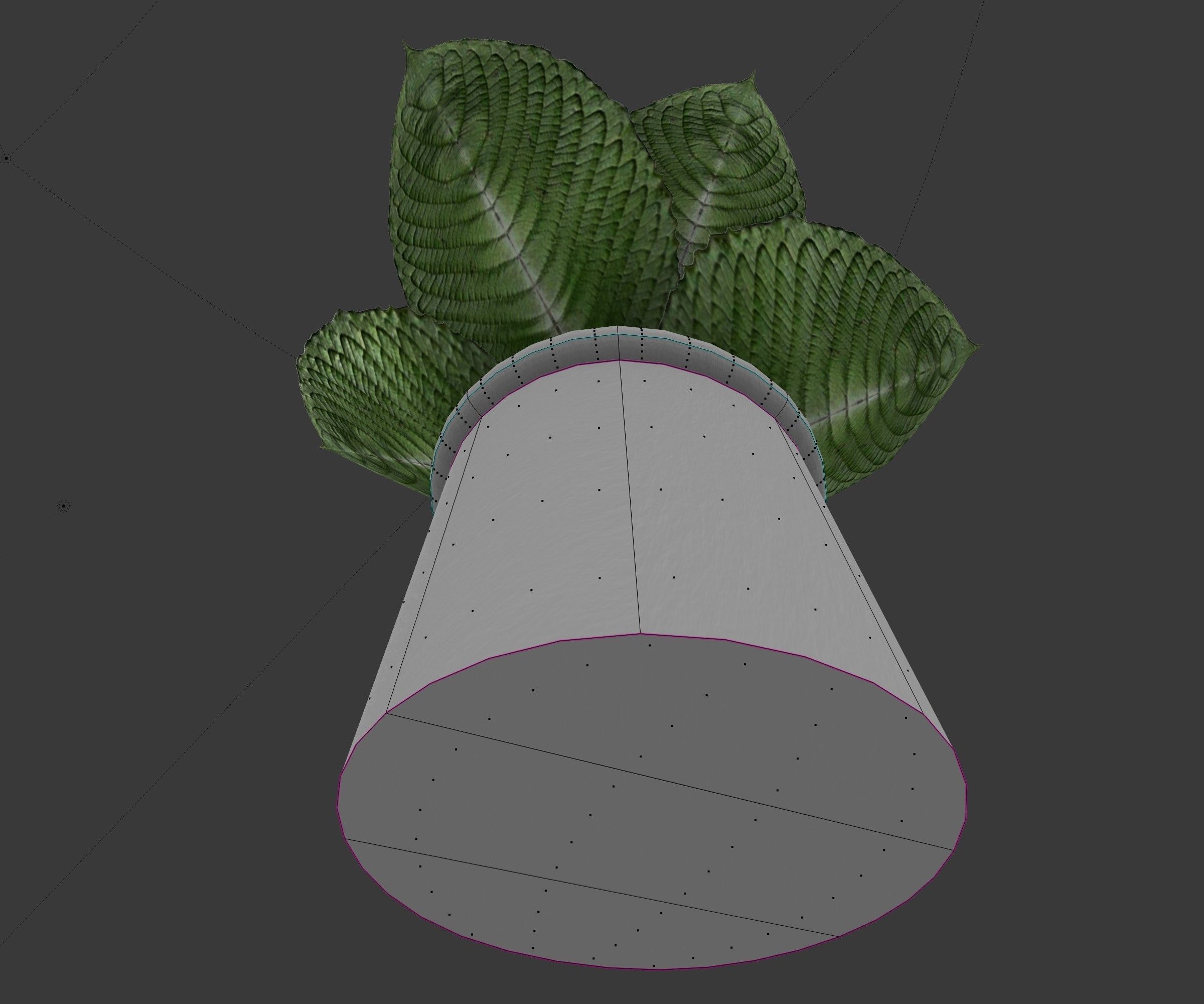 Indoor plant 2 Free low-poly 3D model_11