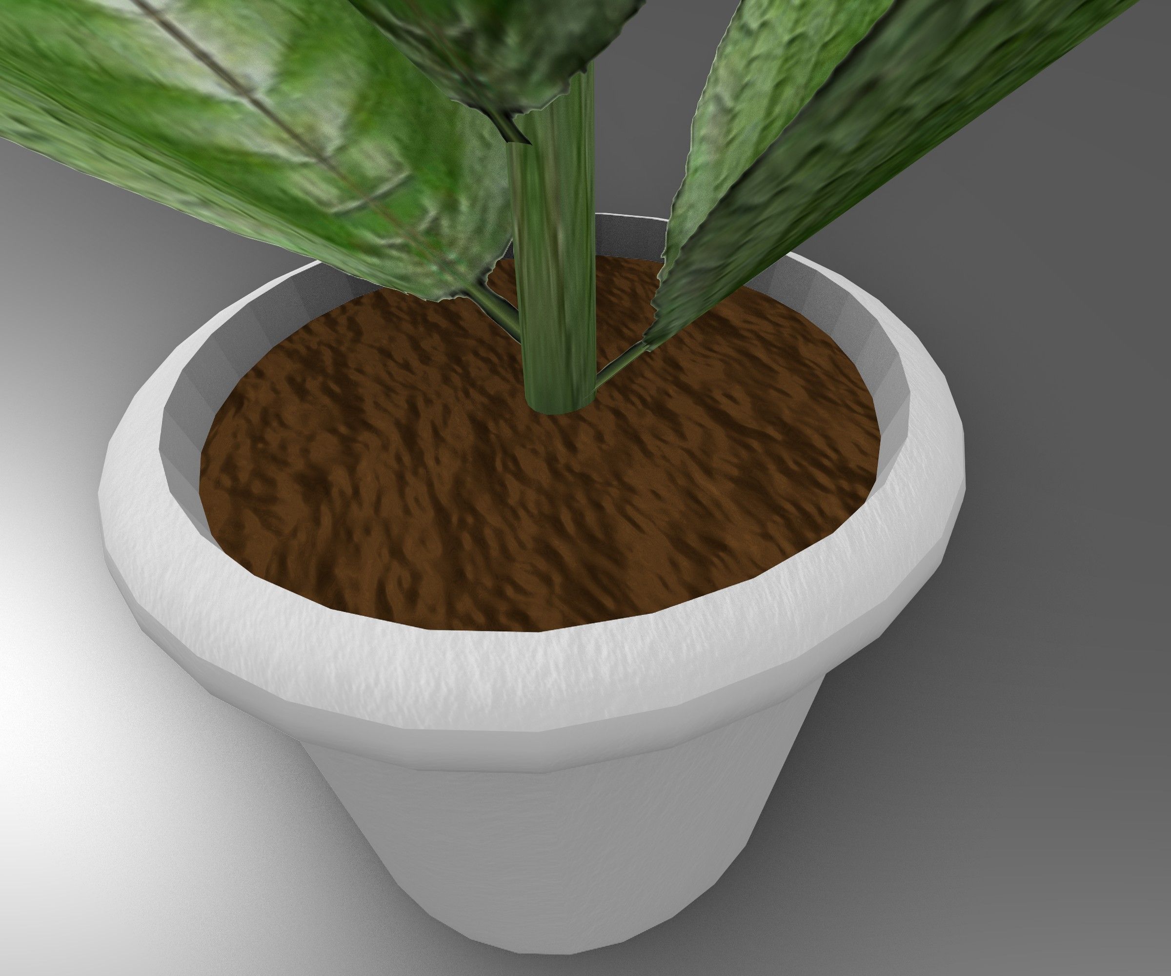 Indoor plant 2 Free low-poly 3D model_15