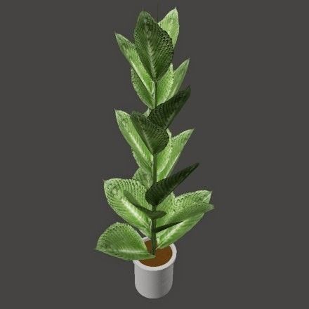Indoor plant 2 Free low-poly 3D model_10