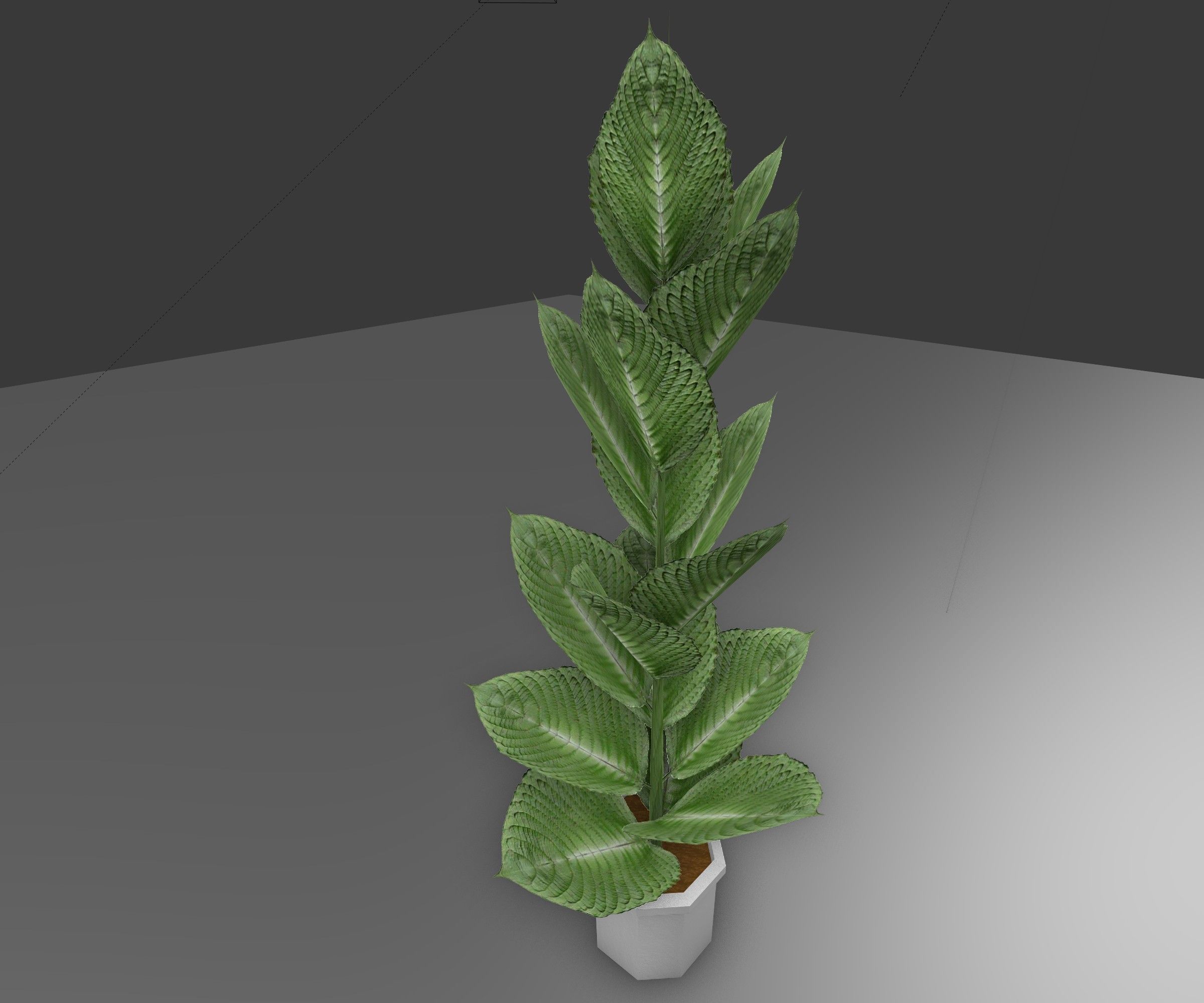 Indoor plant 2 Free low-poly 3D model_3