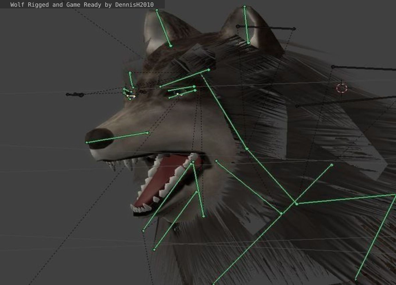 Wolf Rigged Low-poly and Game-Ready Low-poly 3D model_37