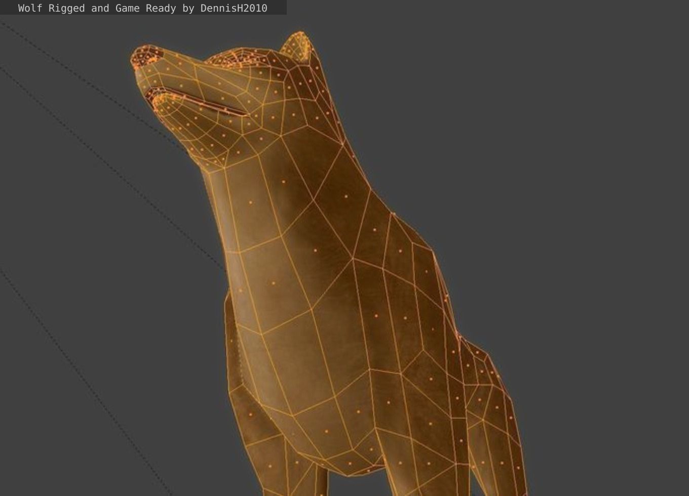 Wolf Rigged Low-poly and Game-Ready Low-poly 3D model_40