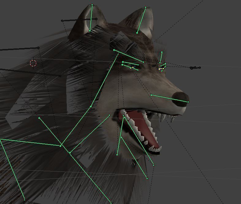 Wolf Rigged Low-poly and Game-Ready Low-poly 3D model_18