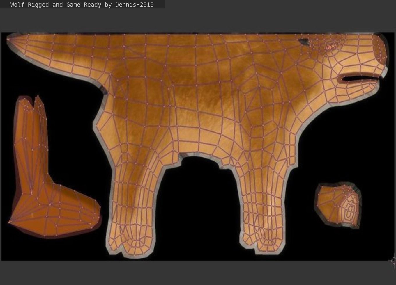 Wolf Rigged Low-poly and Game-Ready Low-poly 3D model_57