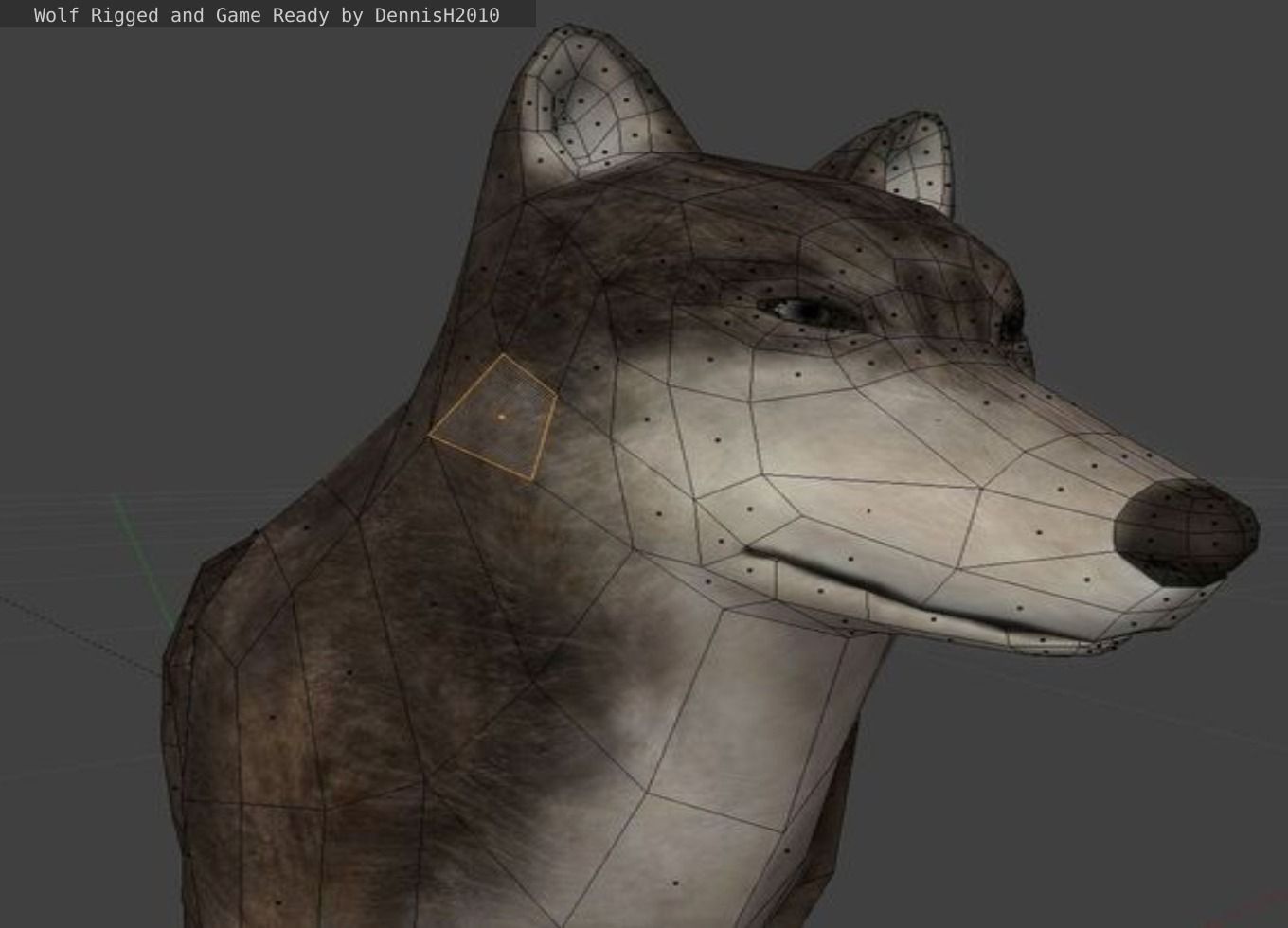Wolf Rigged Low-poly and Game-Ready Low-poly 3D model_50