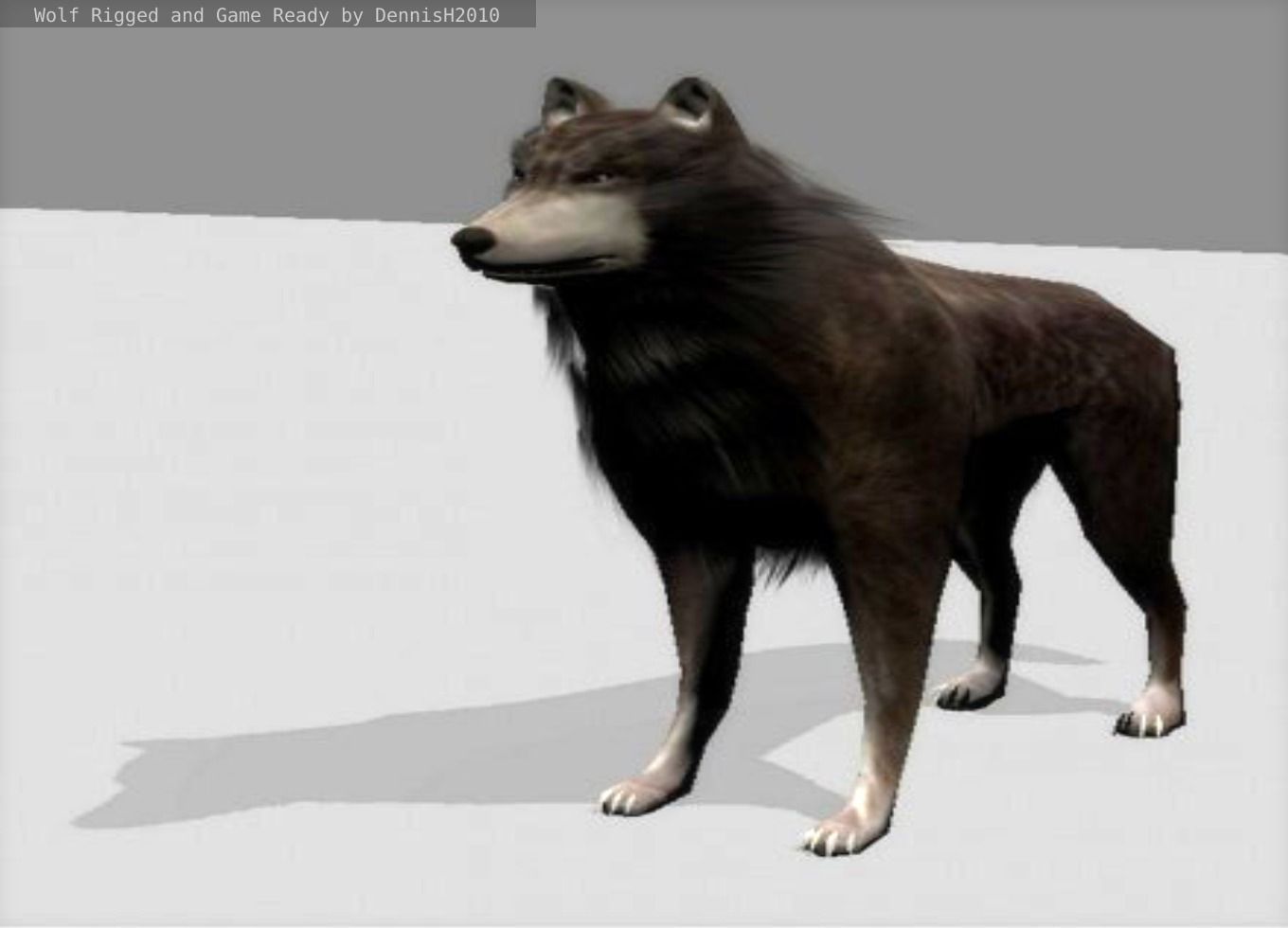 Wolf Rigged Low-poly and Game-Ready Low-poly 3D model_43