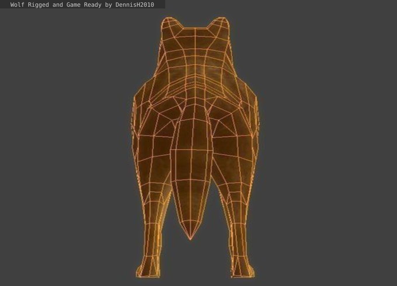 Wolf Rigged Low-poly and Game-Ready Low-poly 3D model_51