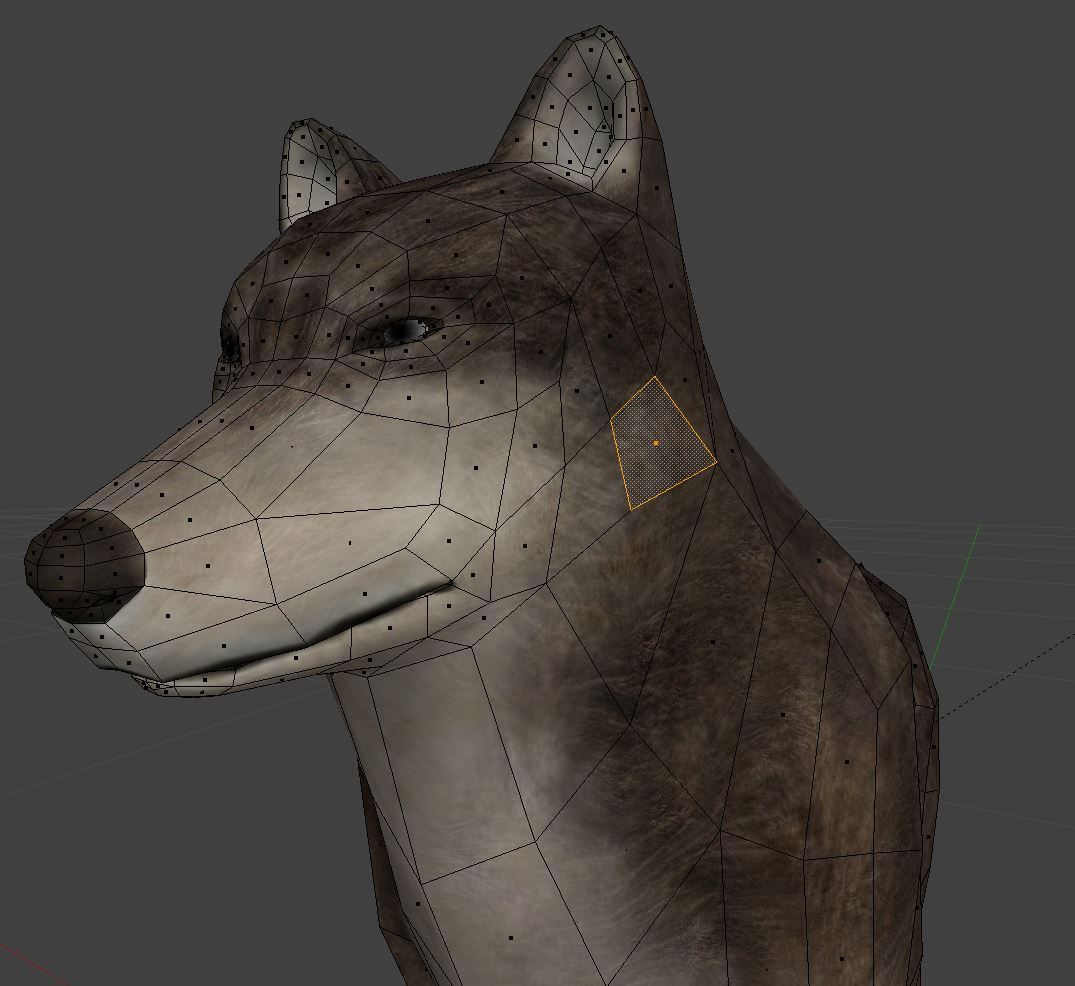 Wolf Rigged Low-poly and Game-Ready Low-poly 3D model_25