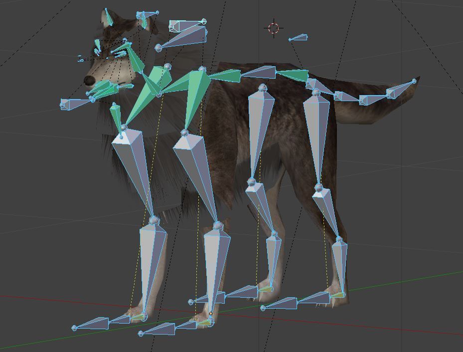 Wolf Rigged Low-poly and Game-Ready Low-poly 3D model_21