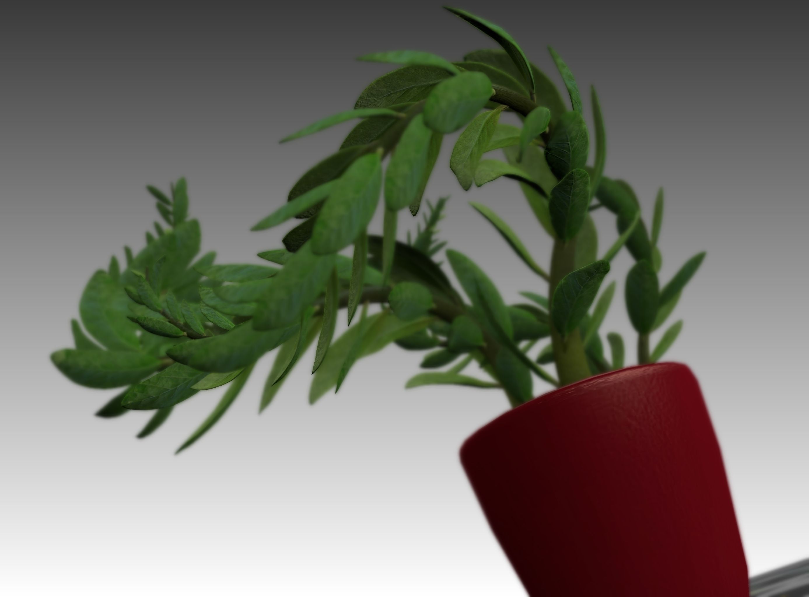 Indoor plant rigged Free low-poly 3D model_8