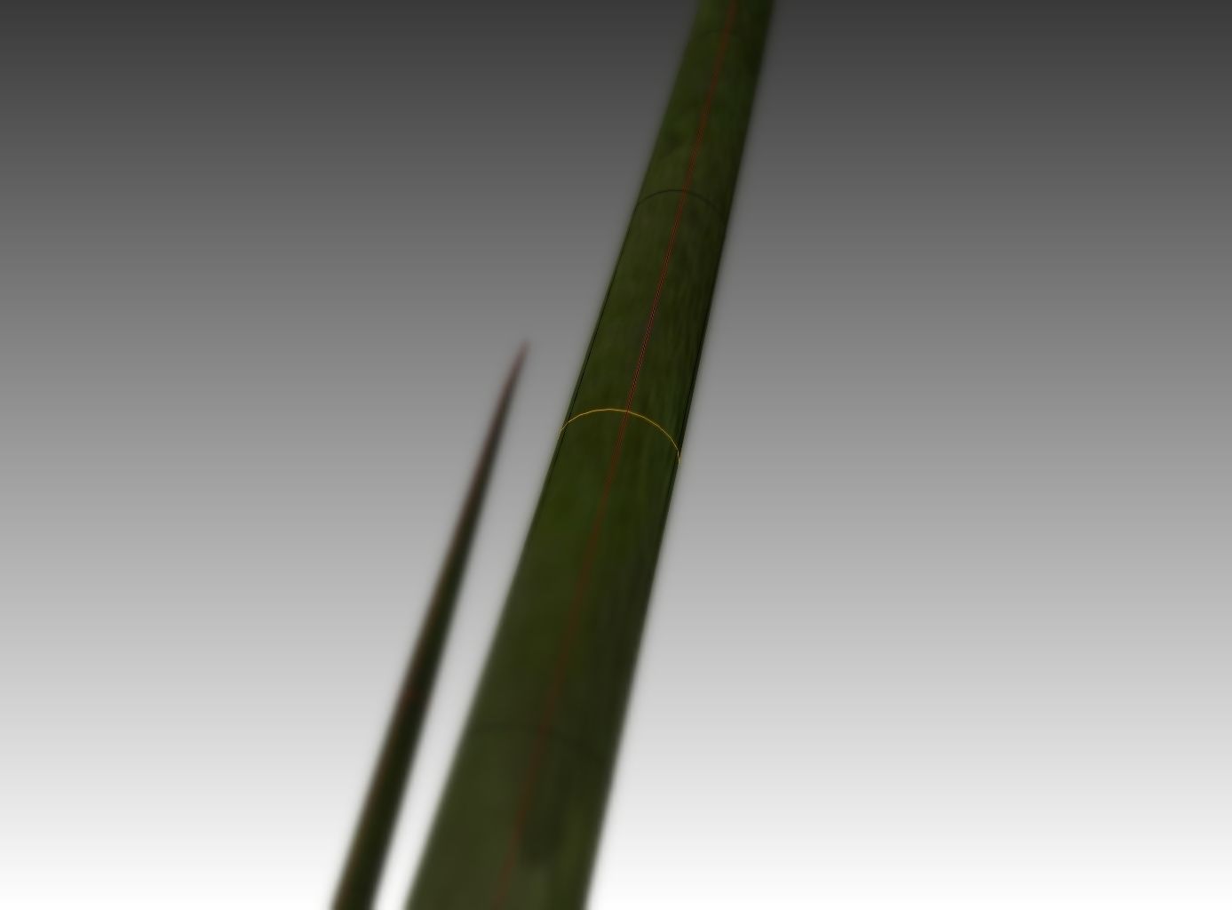 Indoor plant rigged Free low-poly 3D model_25