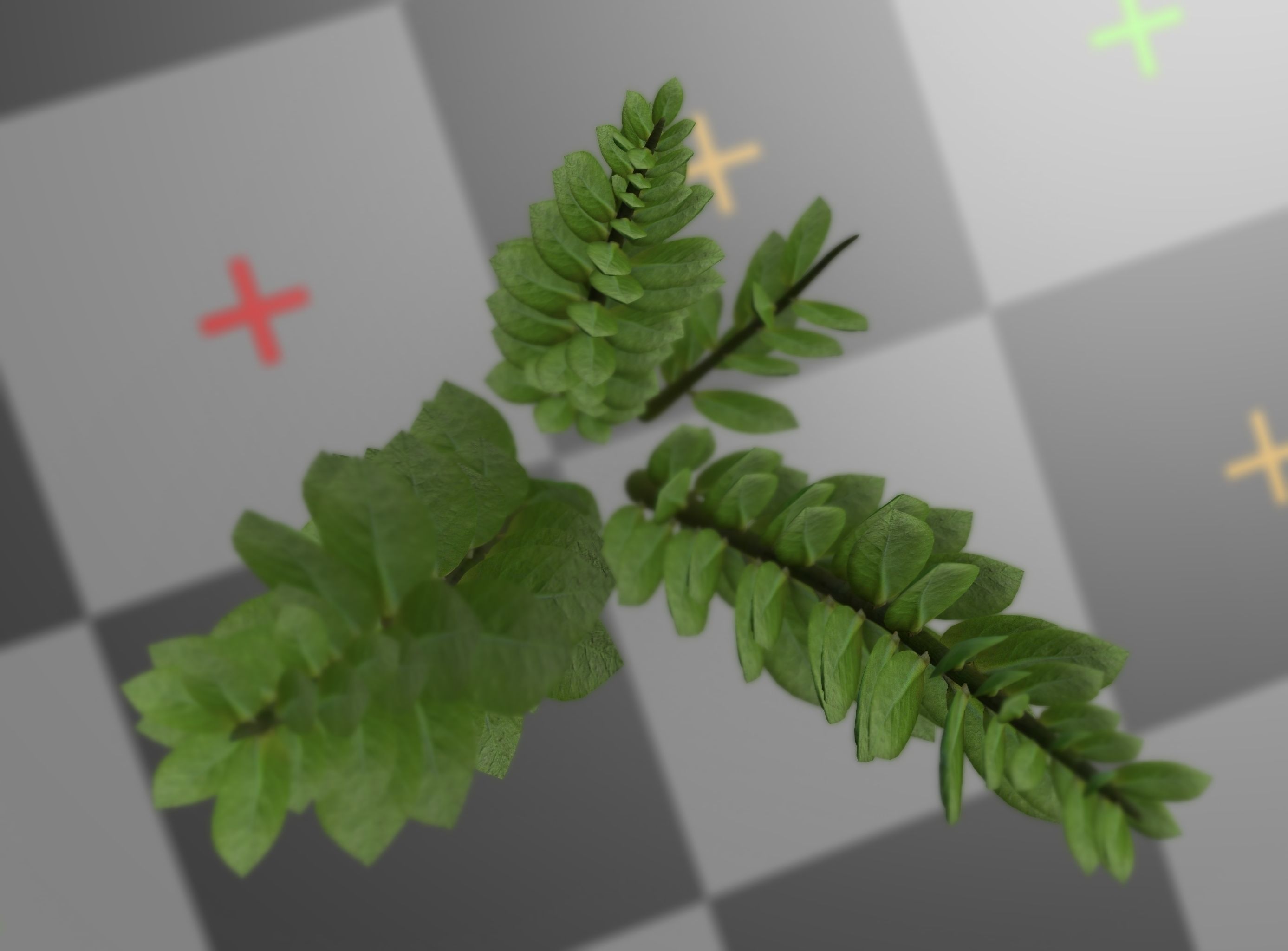 Indoor plant rigged Free low-poly 3D model_6