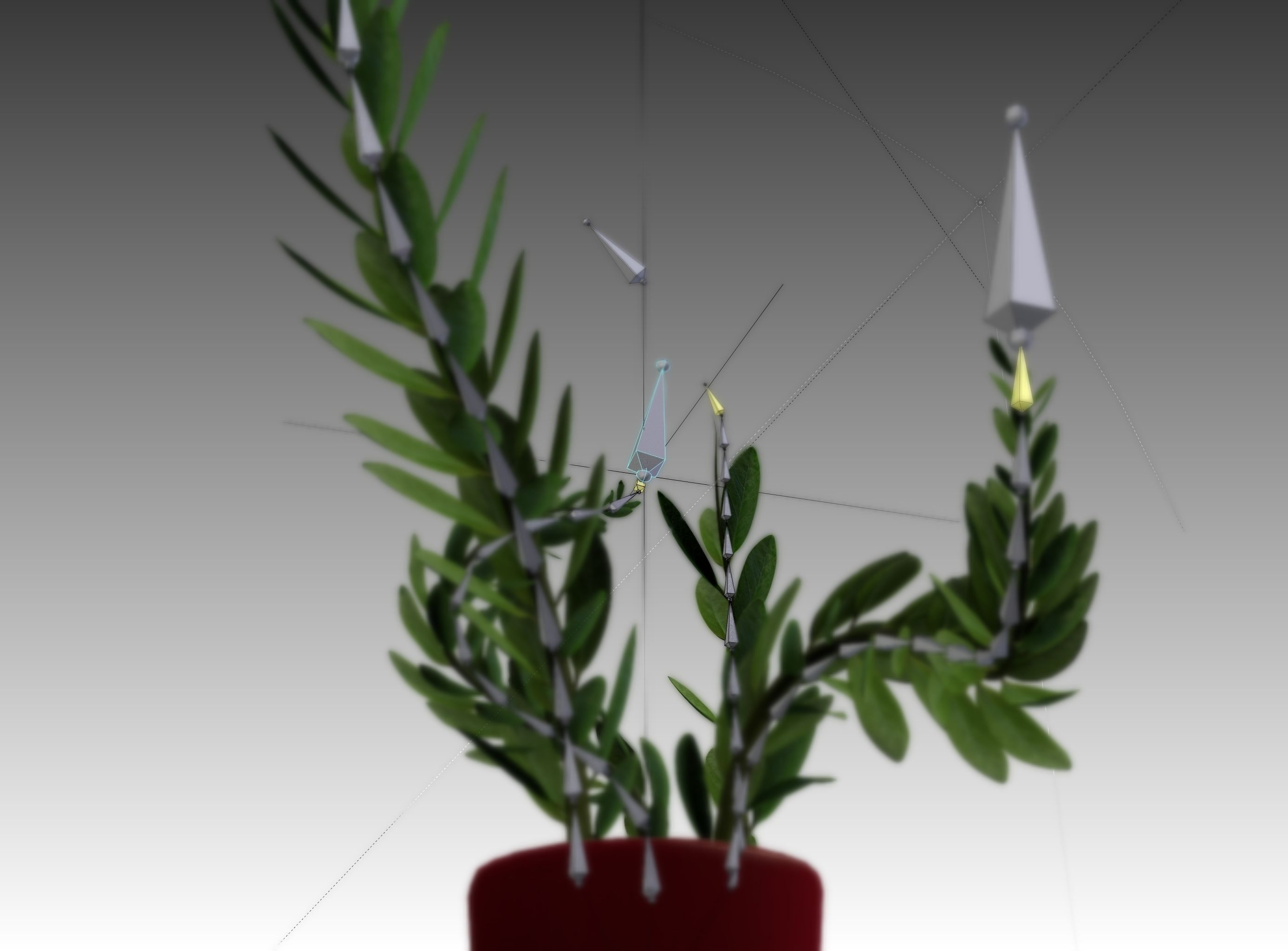 Indoor plant rigged Free low-poly 3D model_7