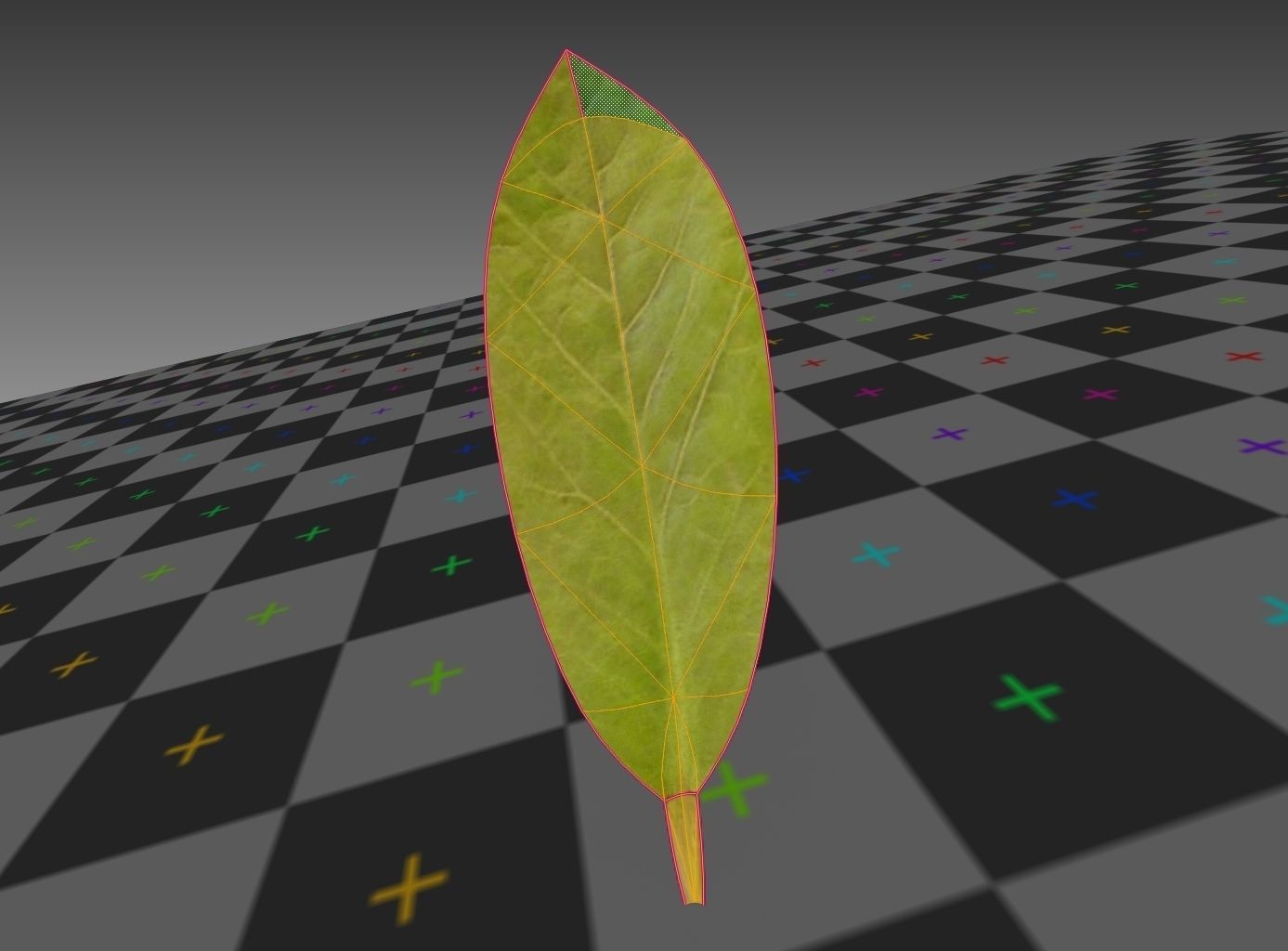 Indoor plant rigged Free low-poly 3D model_22