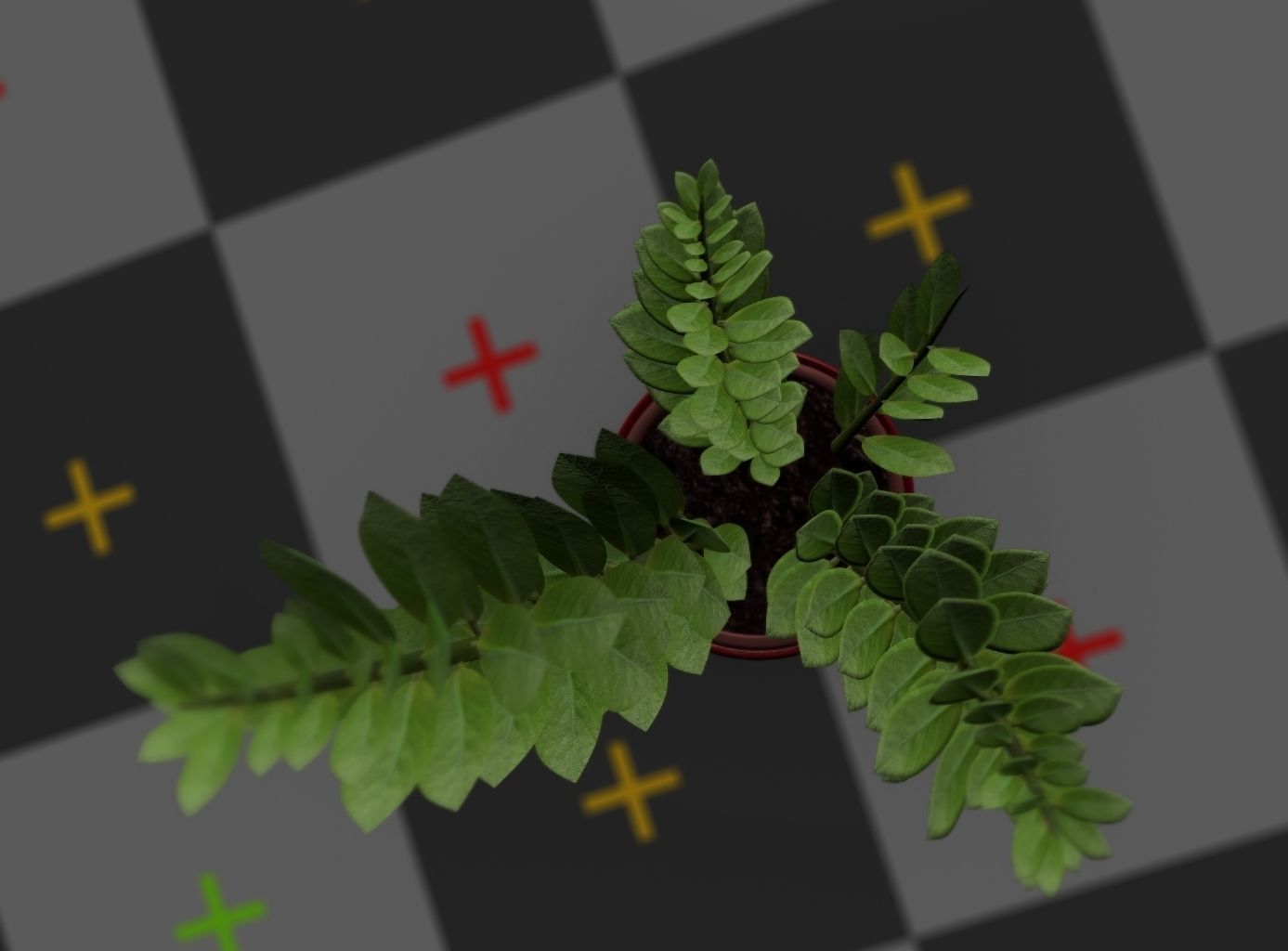 Indoor plant rigged Free low-poly 3D model_23