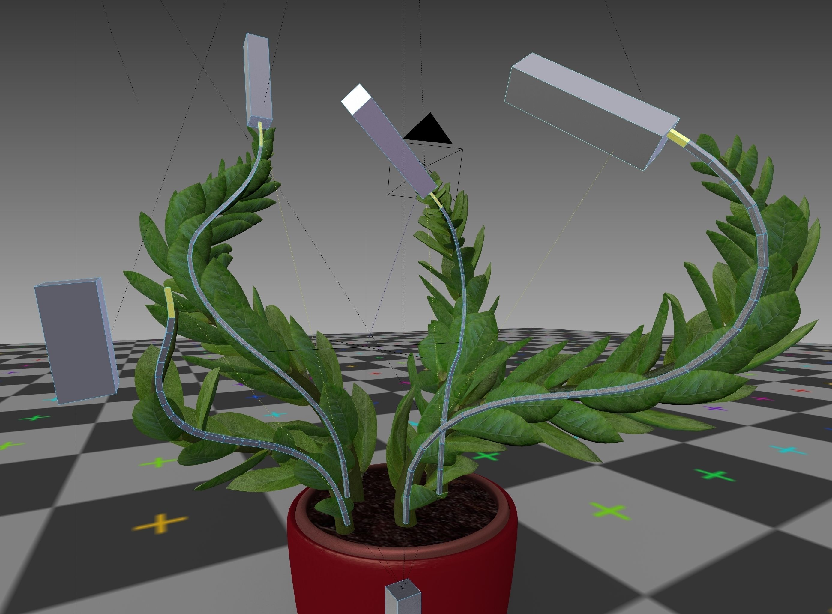 Indoor plant rigged Free low-poly 3D model_15