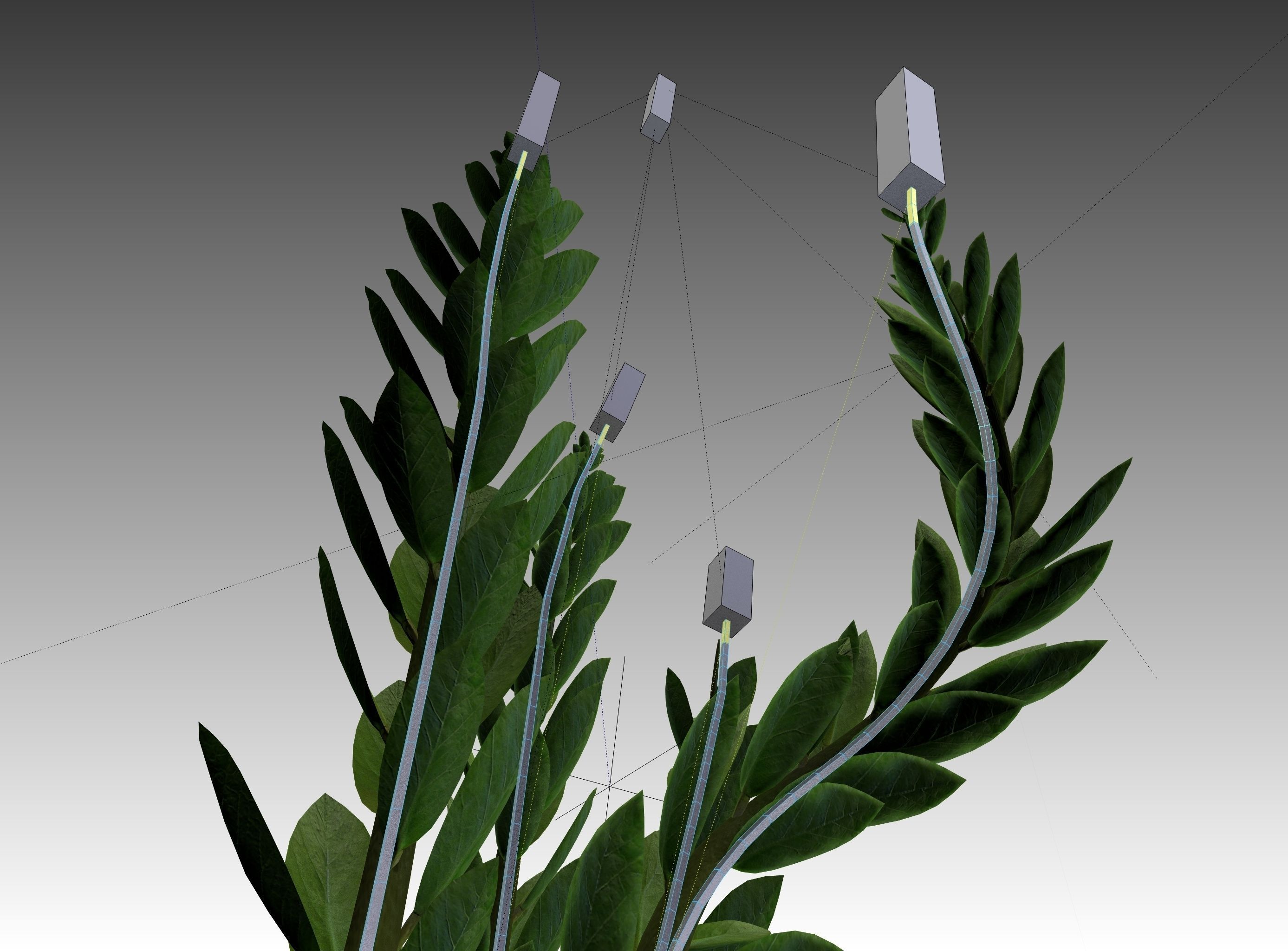 Indoor plant rigged Free low-poly 3D model_16