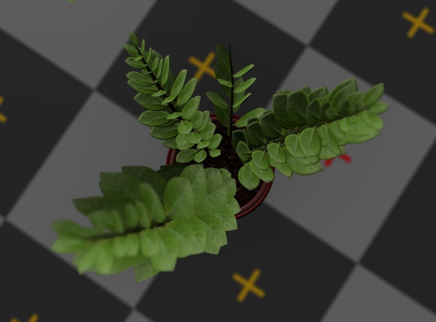 Indoor plant rigged Free low-poly 3D model_13