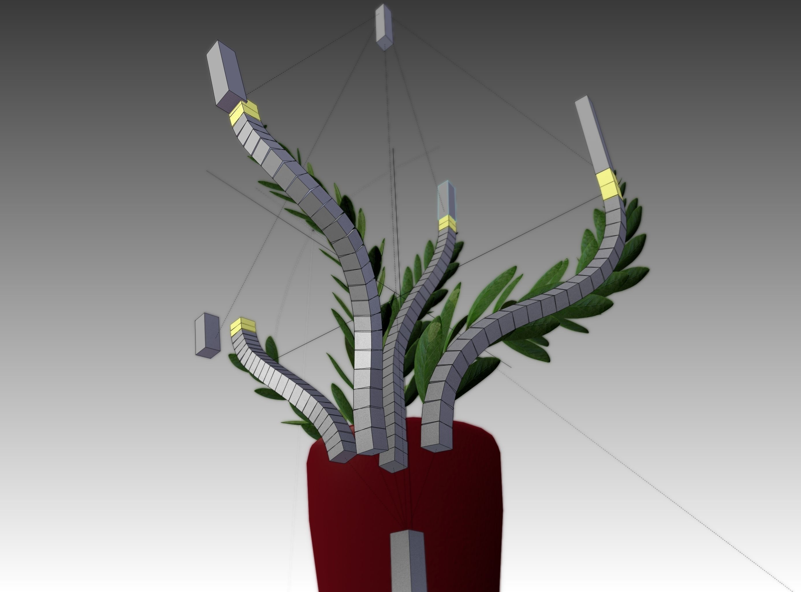 Indoor plant rigged Free low-poly 3D model_4