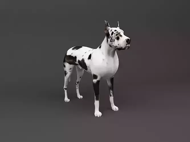 Great Dane 3D Print Ready Dog model 3D print model
