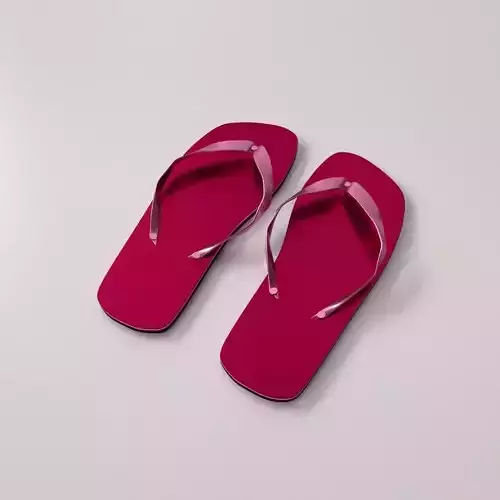 Slippers pair of flip flops