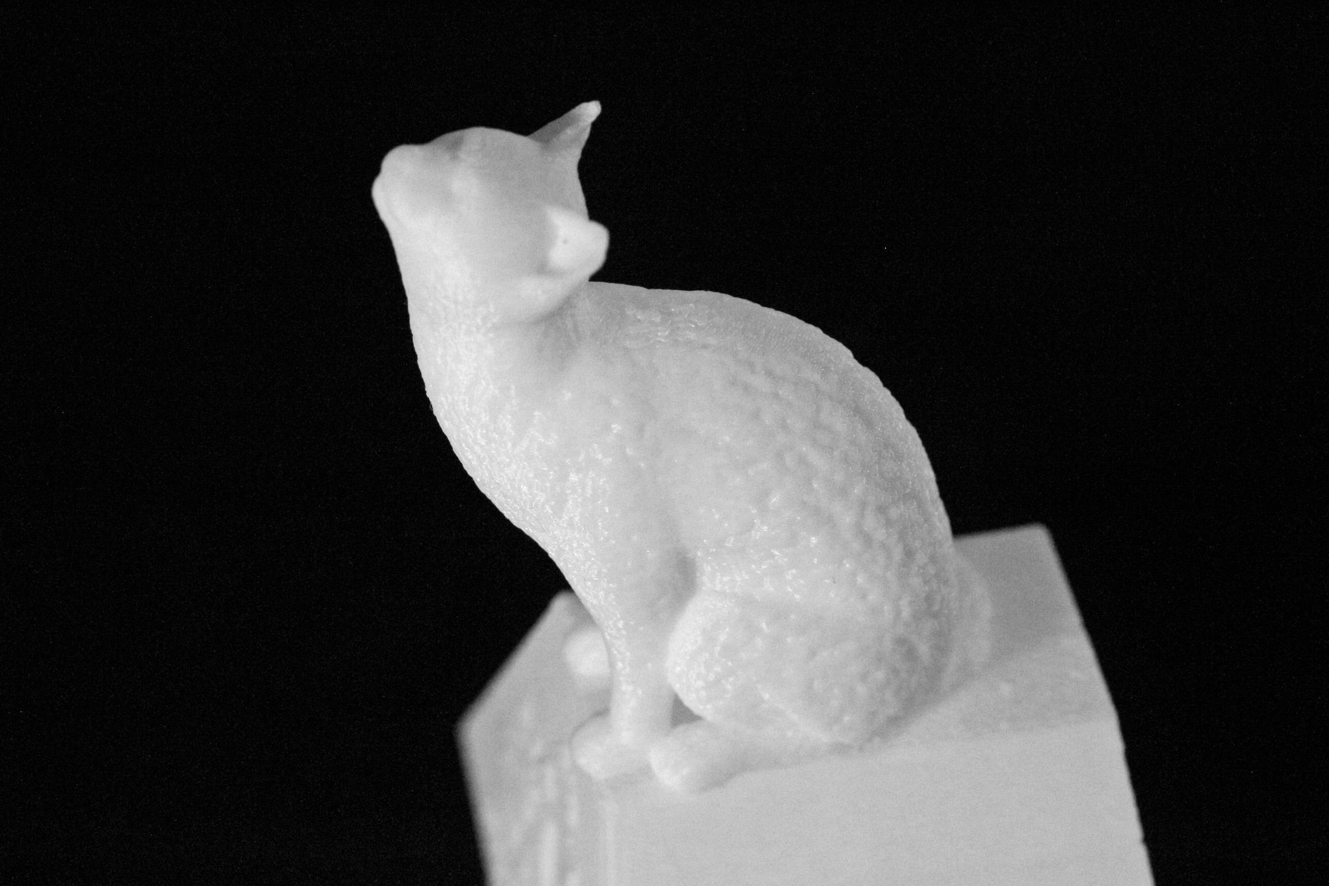 Cat on a Ring Box 3D print model_5