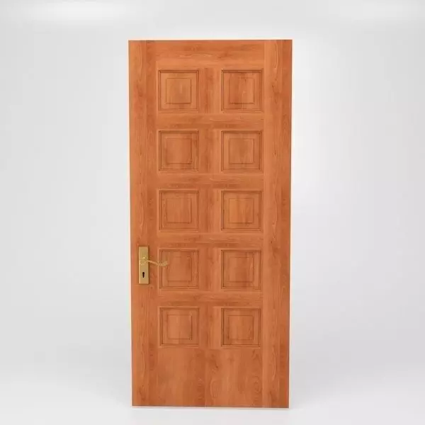 Panel Door 3D model_0