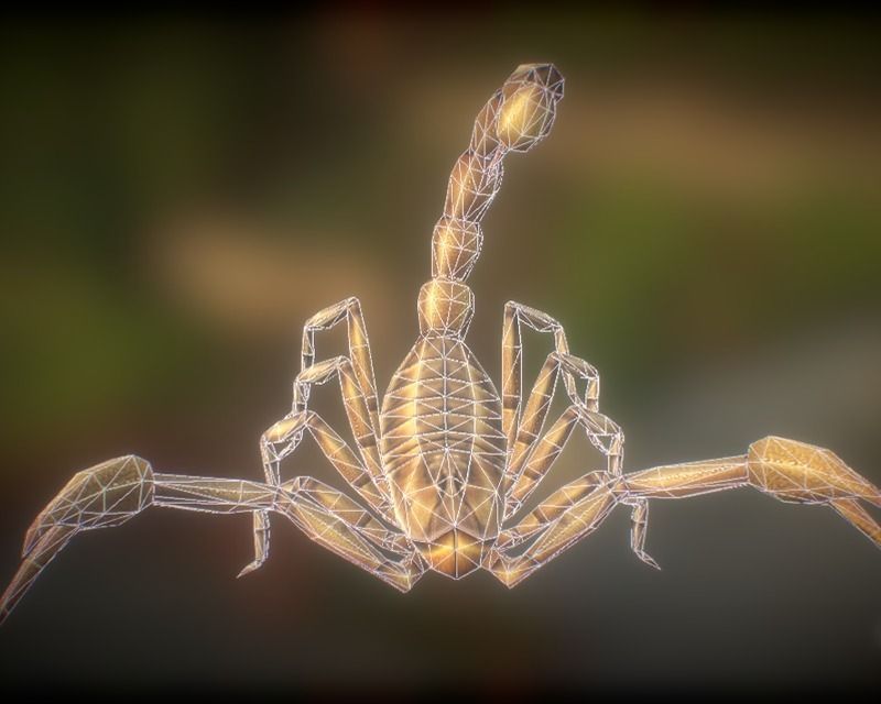 Animated Scorpion Low-poly 3D model_6