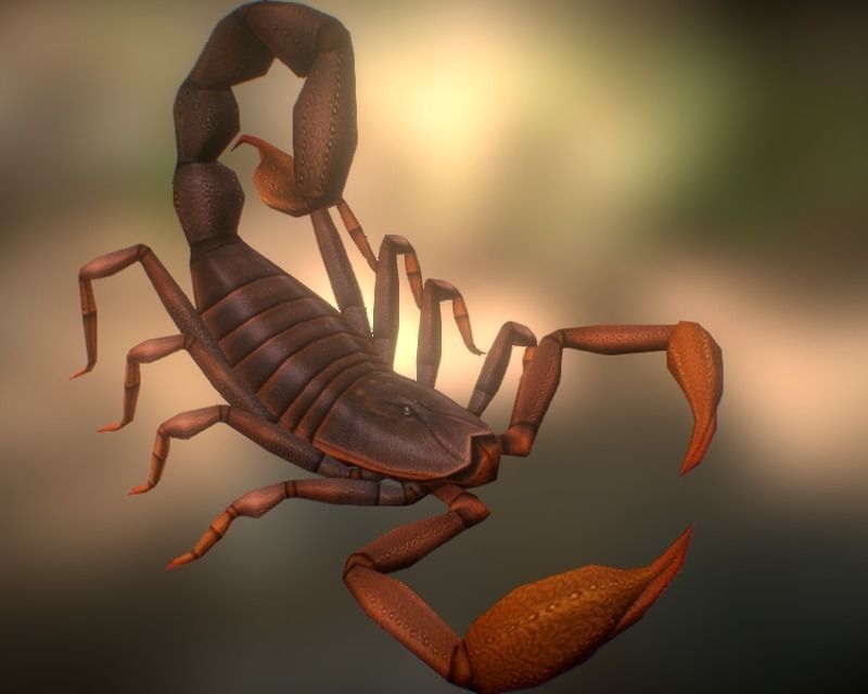 Animated Scorpion Low-poly 3D model_3