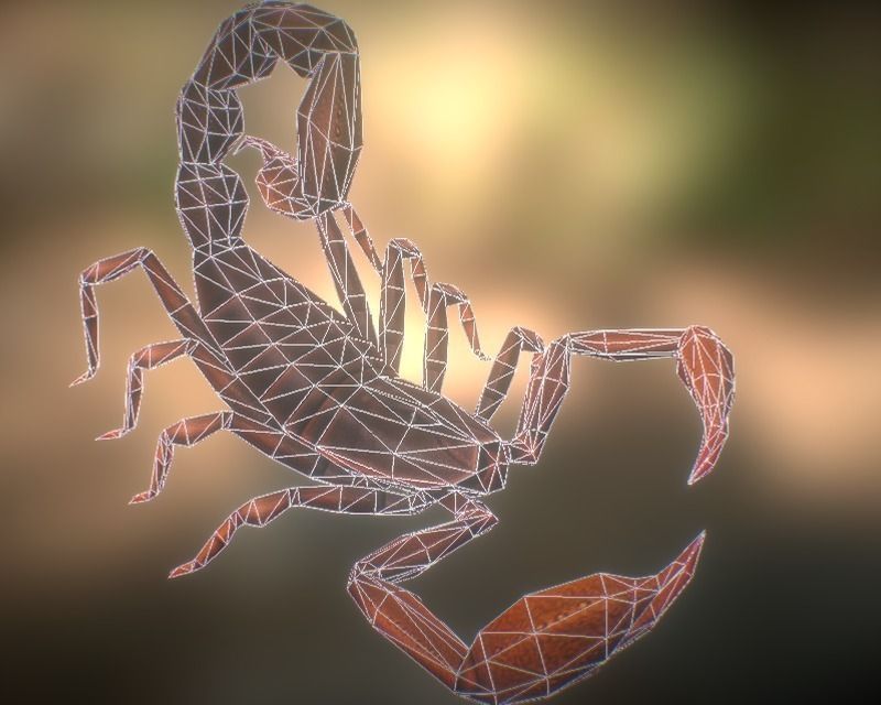 Animated Scorpion Low-poly 3D model_4