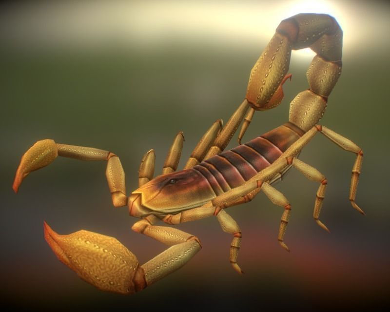 Animated Scorpion Low-poly 3D model_0
