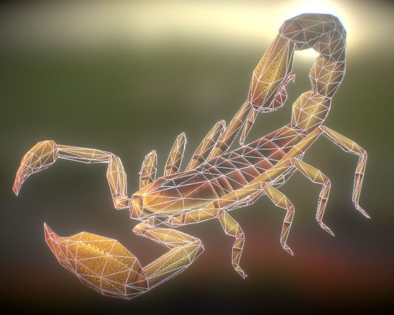 Animated Scorpion Low-poly 3D model_2