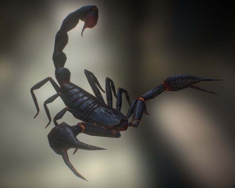 Animated Scorpion Low-poly 3D model_7