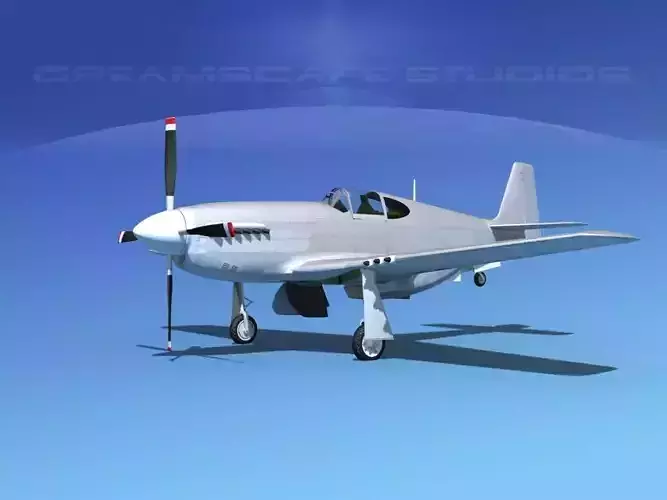 North American Mustang X Bare Metal