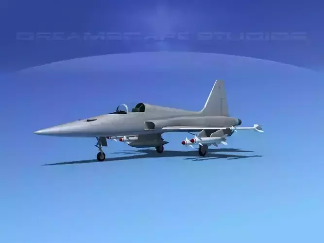 Northrop F-5E Tiger Bare Metal