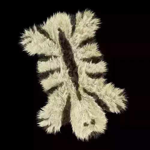 Bear Rug 01 3D model